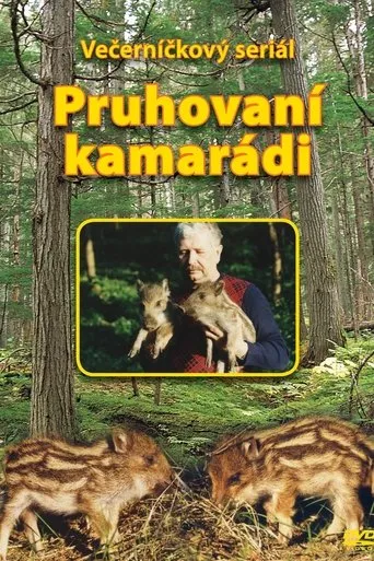 Póster de la serie Pruhovaní kamarádi