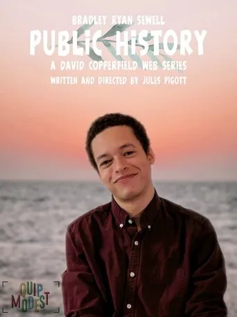 Póster de la serie Public History