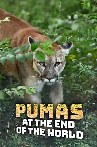 Póster de la serie Pumas At The End of The World