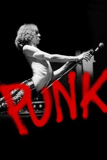 Póster de la serie Punk