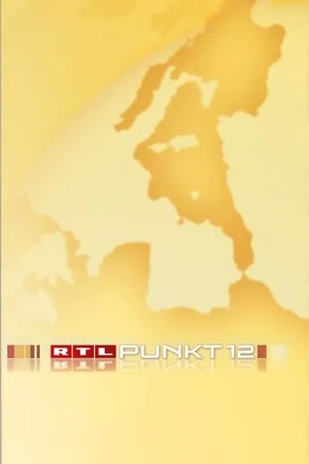Póster de la serie Punkt 12