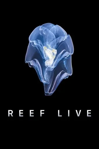 Póster de la serie Reef Live