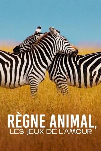 Póster de la serie Règne animal, les jeux de l'amour