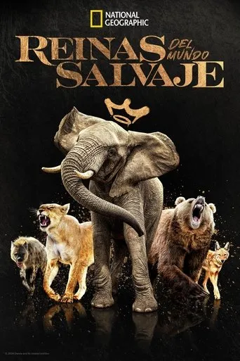 Póster de la serie Reinas del mundo salvaje