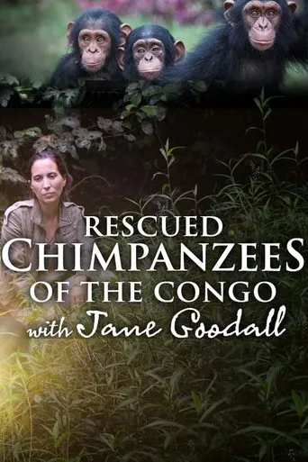 Póster de la serie Rescued Chimpanzees of the Congo with Jane Goodall