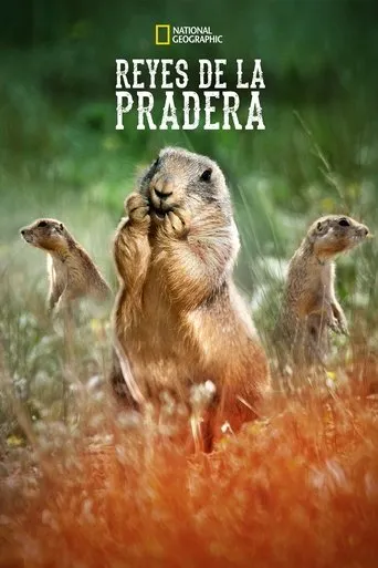 Póster de la serie Reyes de la Pradera