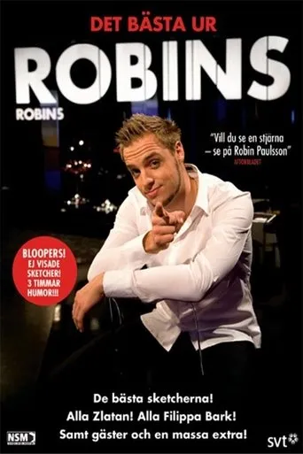 Póster de la serie Robins