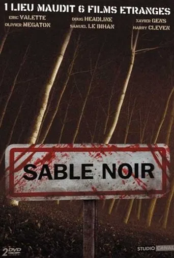 Póster de la serie Sable noir