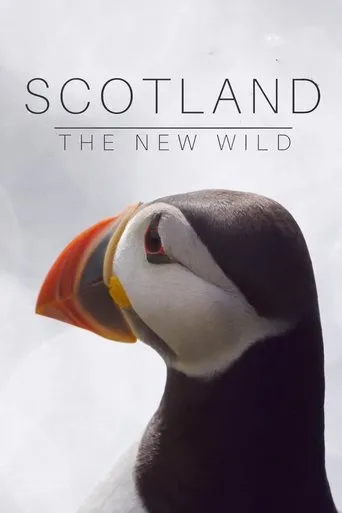 Póster de la serie Scotland: The New Wild