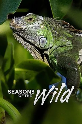 Póster de la serie Seasons of the Wild