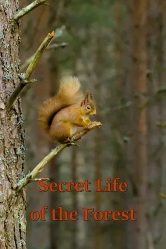 Póster de la serie Secret Life of the Forest