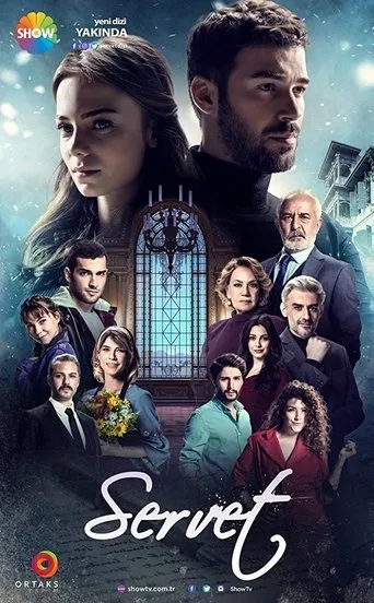 Póster de la serie Servet