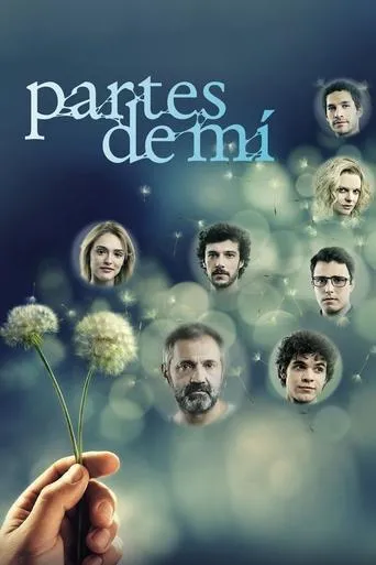 Póster de la serie Sete Vidas