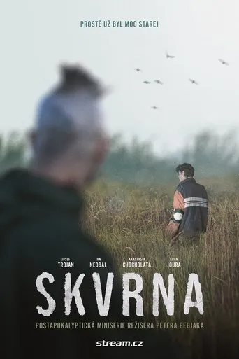 Póster de la serie Skvrna