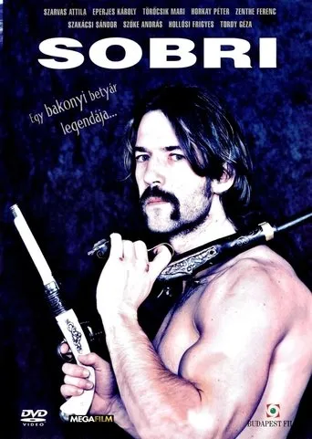 Póster de la serie Sobri, ponyvafilm