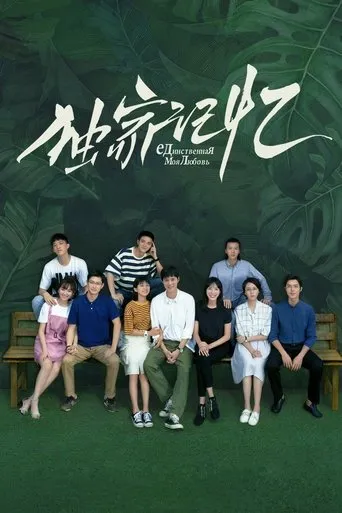 Póster de la serie Somewhere Only We Know