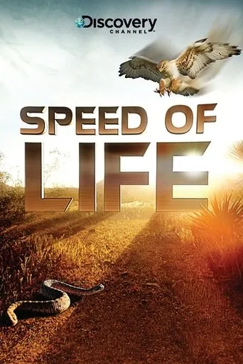 Póster de la serie Speed of Life