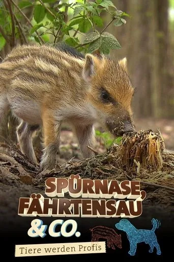Póster de la serie Spürnase, Fährtensau & Co.