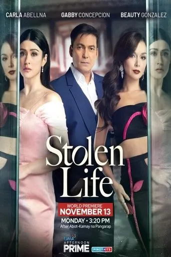 Póster de la serie Stolen Life