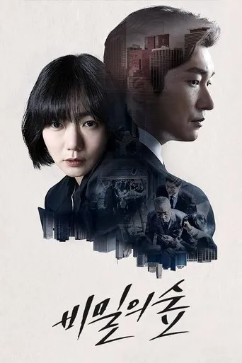 Póster de la serie Stranger