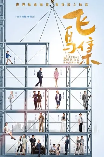 Póster de la serie Stray Birds