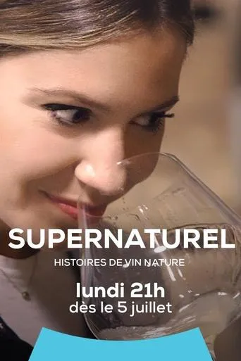 Póster de la serie Supernaturel