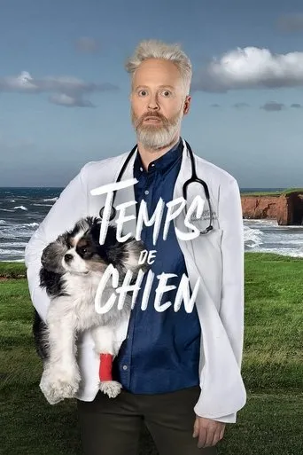 Póster de la serie Temps de chien