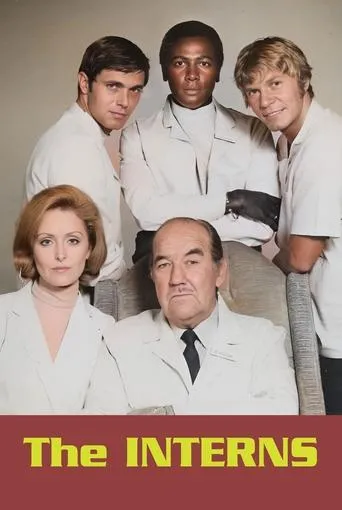 Póster de la serie The Interns