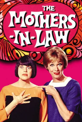 Póster de la serie The Mothers-in-Law