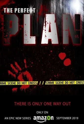 Póster de la serie The Perfect Plan