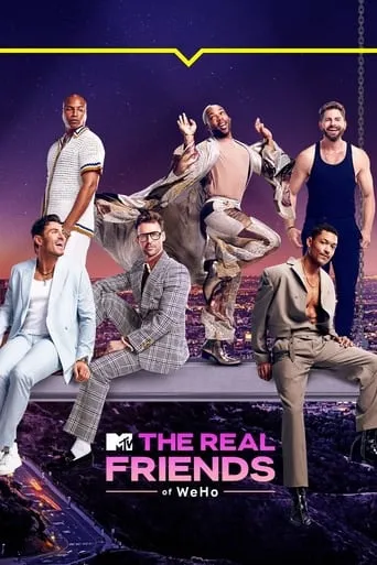 Póster de la serie The Real Friends of WeHo