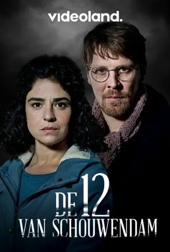 Póster de la serie The Schouwendam 12