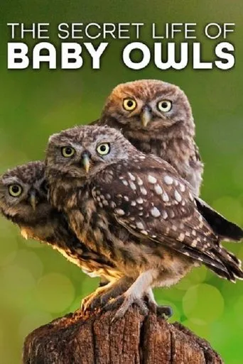Póster de la serie The Secret Life of Owls