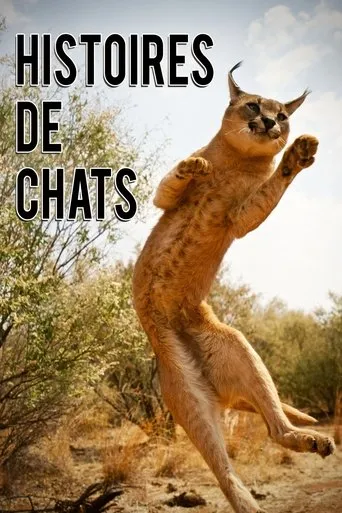 Póster de la serie The Story of Cats