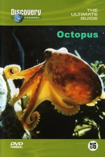 Póster de la serie The Ultimate Guide