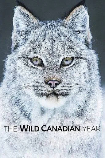 Póster de la serie The Wild Canadian Year