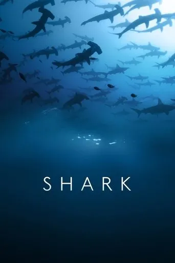 Póster de la serie Tiburones