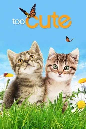 Póster de la serie Too Cute