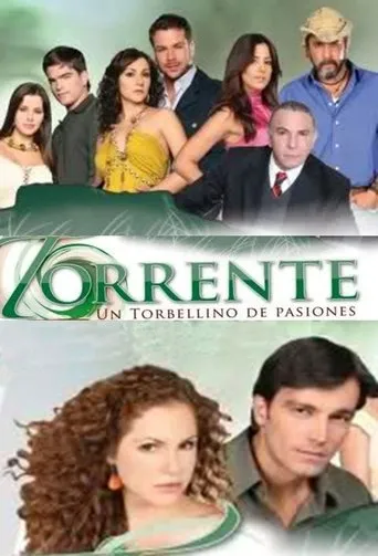 Póster de la serie Torrente