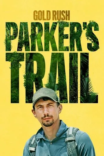 Póster de la serie Tras la pista del oro