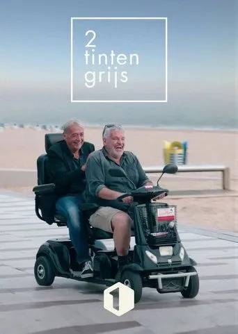 Póster de la serie Twee Tinten Grijs