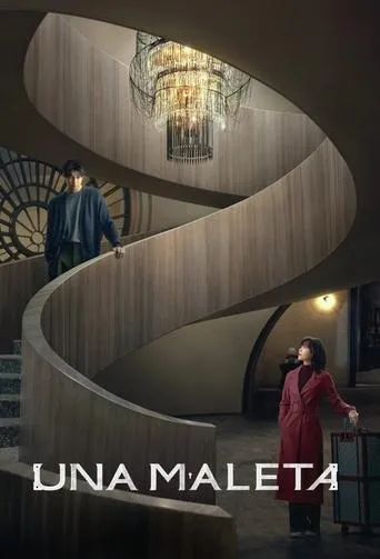 Póster de la serie Una maleta