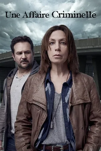 Póster de la serie Une affaire criminelle