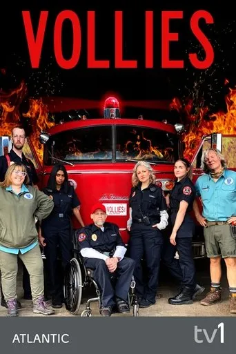 Póster de la serie Vollies