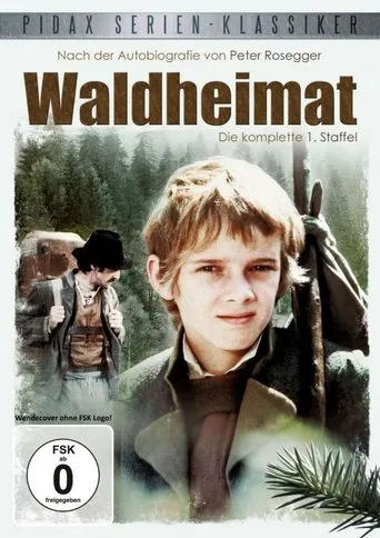 Póster de la serie Waldheimat