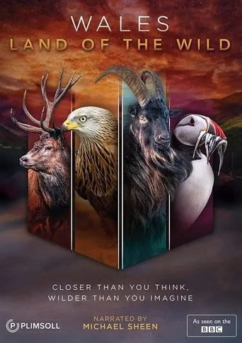 Póster de la serie Wales: Land of the Wild