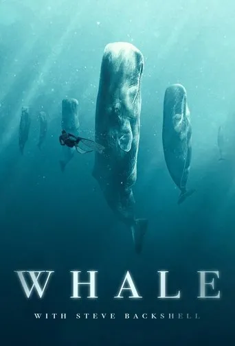 Póster de la serie Whale with Steve Backshall
