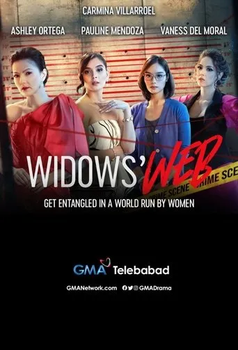 Póster de la serie Widows' Web