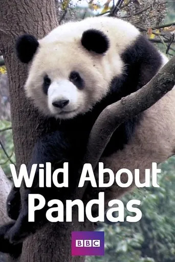 Póster de la serie Wild About Pandas