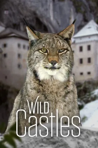 Póster de la serie Wild Castles